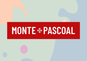 monte-pascoal-simbio-12